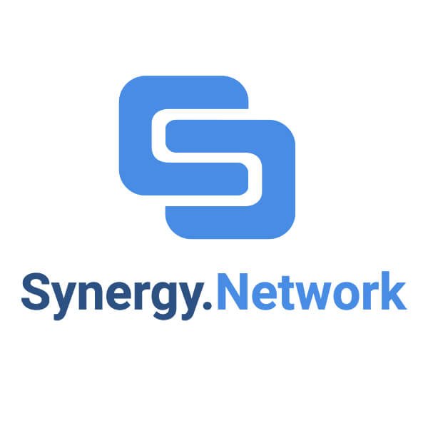 synergy net worth - Ilustrasi 2